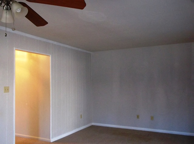 Gallery Photo 8